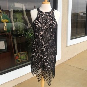 Express M Black Lace dress